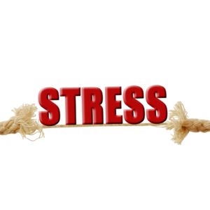ストレスが与える身体への影響